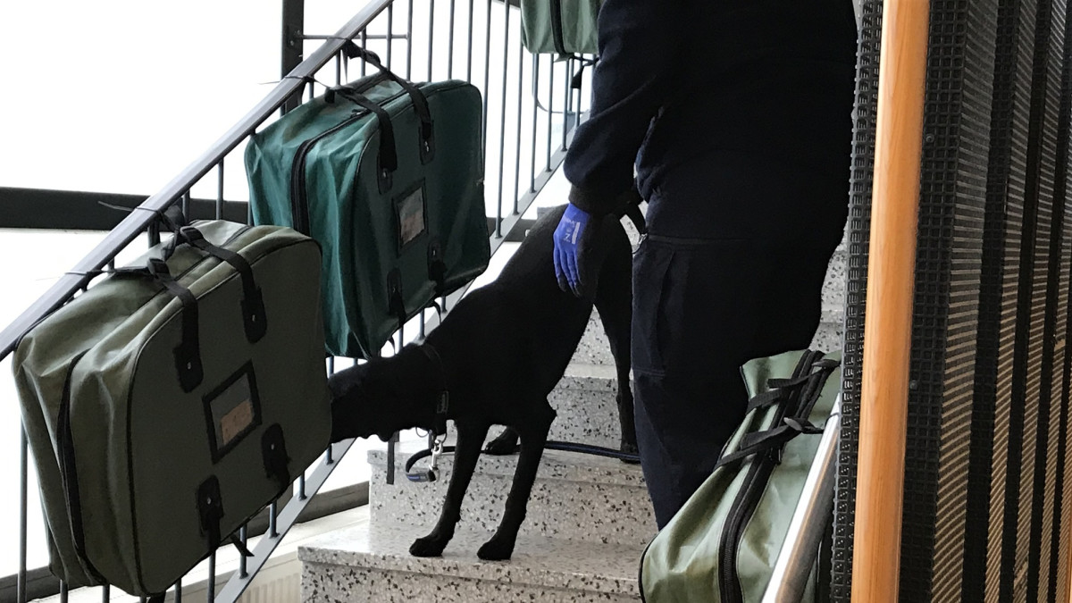 Kilpailufinalisti Siiri haistelee matkalaukkurastilla.