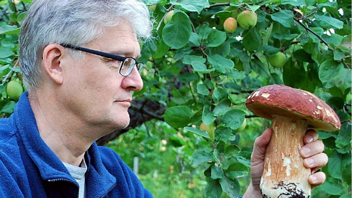 Petri Toiviainen syksyisessä sienimetsässä.
