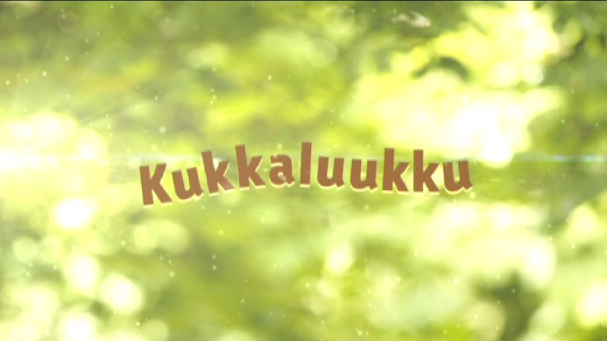 Kukkaluukku-ohjelman otsikkokuva.