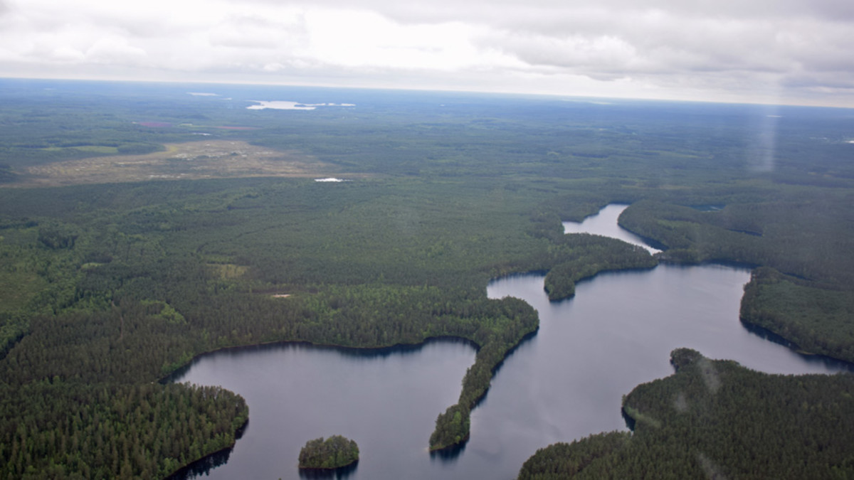 Lopen Räyskälästä purjelentokoneella ilmaan ja järvimetsäinen maisema