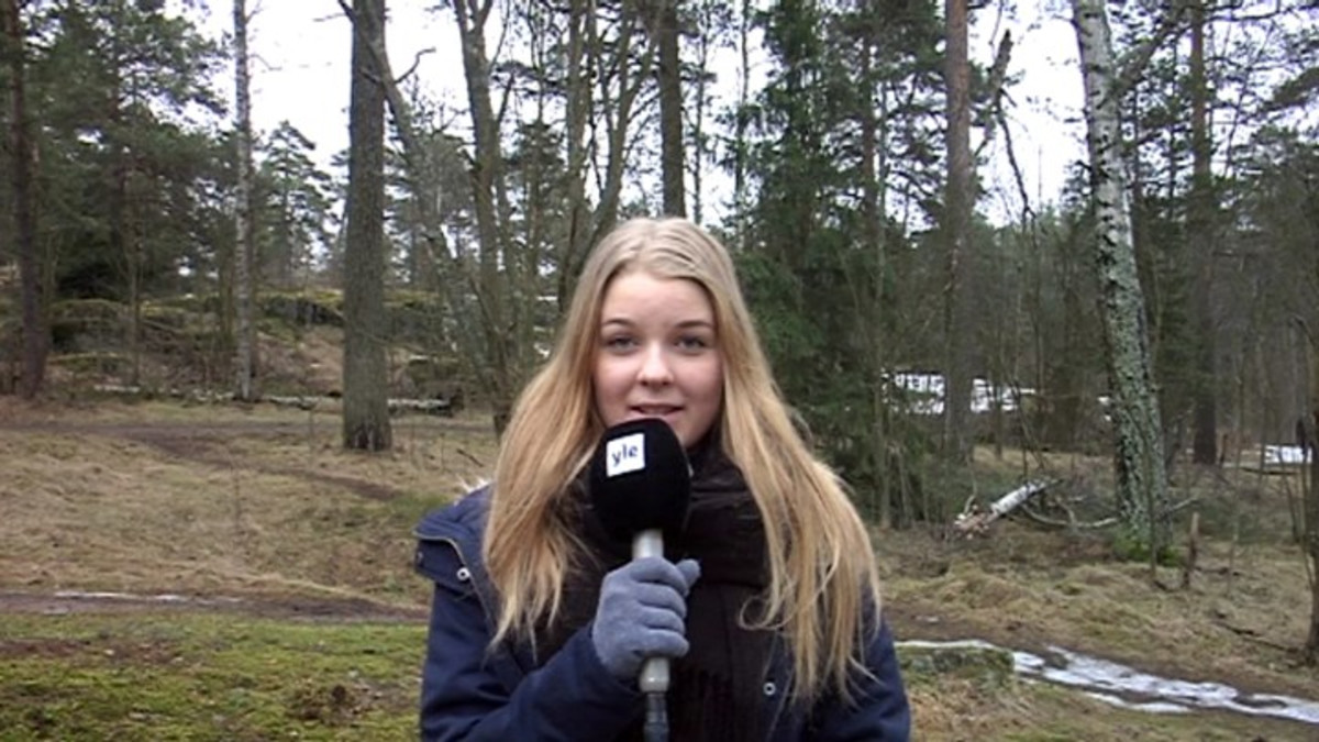 Saako viheralueille rakentaa?