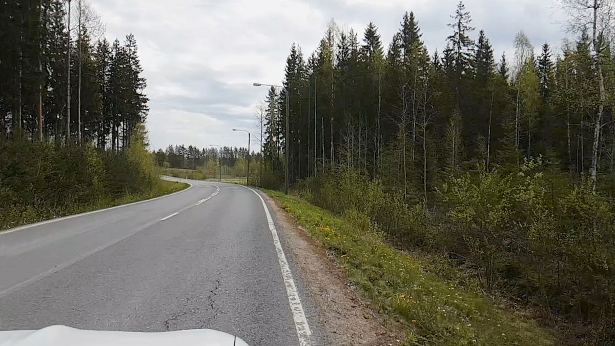 Näetkö videossa hirven?