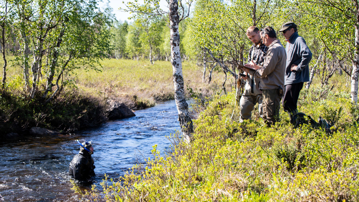 Metsähallituksen tutkijoita kartoittamassa raakkuja.