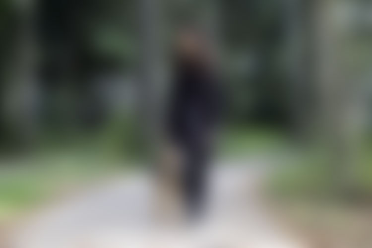pornoa videolla koditon koira pornoa videolla koditon koira