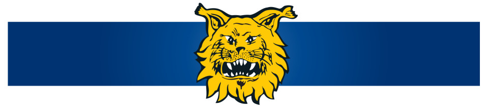 Tampereen Ilves