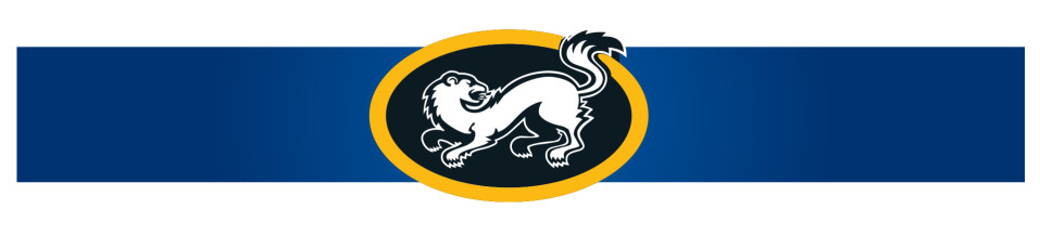 Oulun Kärpät