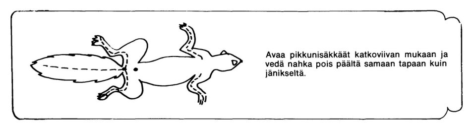 Piirroskuva pikkunisäkkään nylkemisestä.