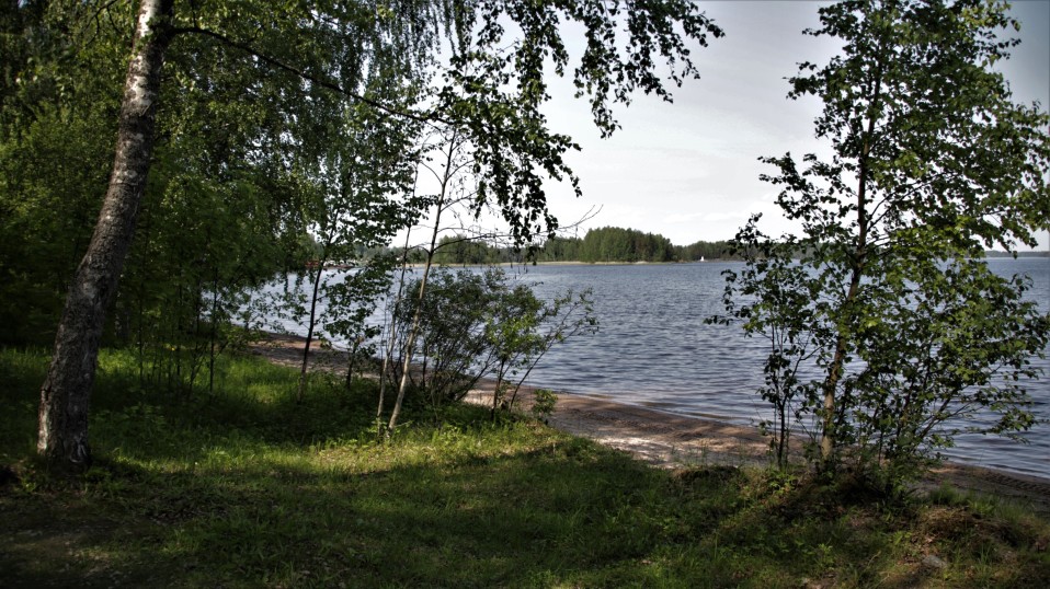 Uimaranta, vettä, nurmikkoa ja koivuja.