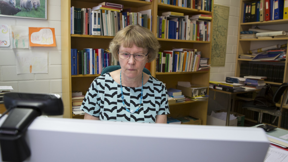 professori Marjatta Palander, Itä-Suomen Yliopisto.