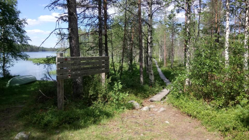 Pitkospuupolku ja järvimaisema Tiilikkajärven kansallispuistossa Rautavaaralla.