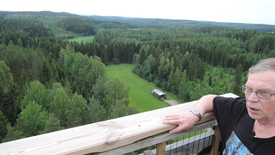 Silmän kantamattomiin jatkuva vihreä metsämaisema hivelee metsämiehen silmää.