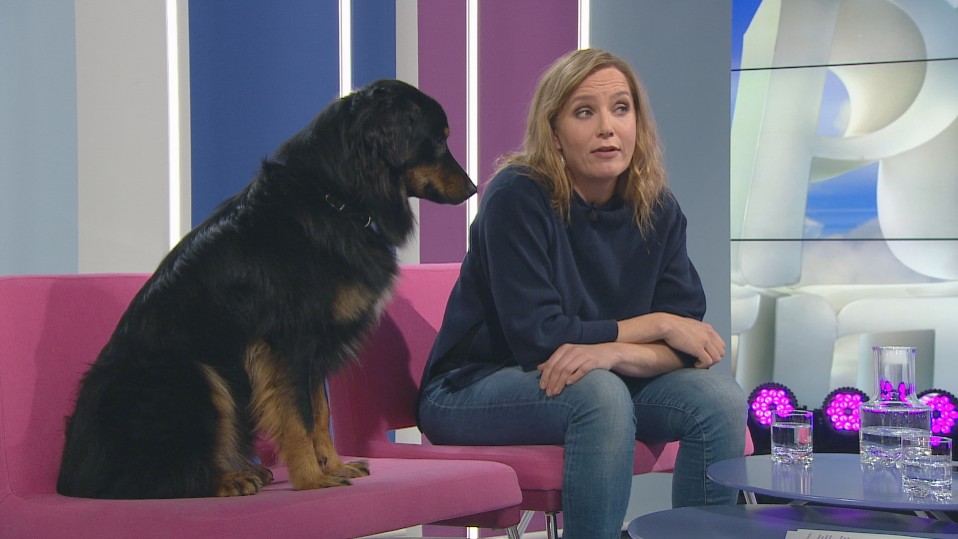 Metku-koira ja Niina Lahtinen Puoli seiskan studiossa 19.10.2018