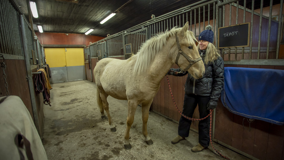 Anita Viitanen ja hevonen tallissa