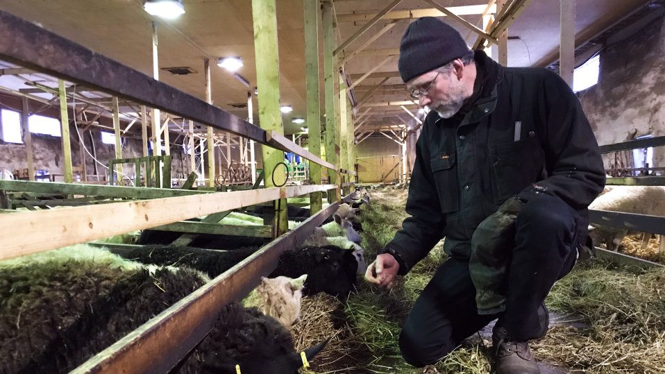 Lampuri Petri Leinonen