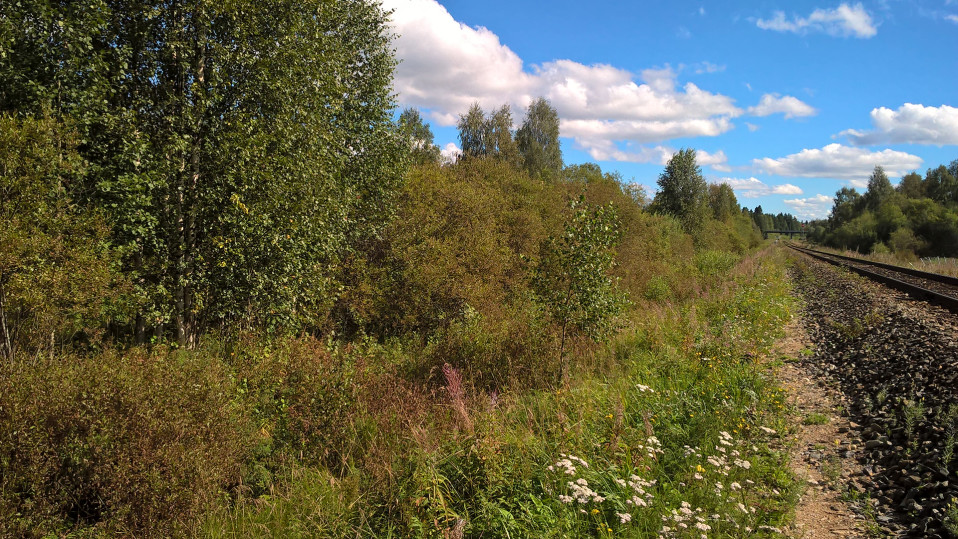 Näkymä rataosuudelta Lieksassa.