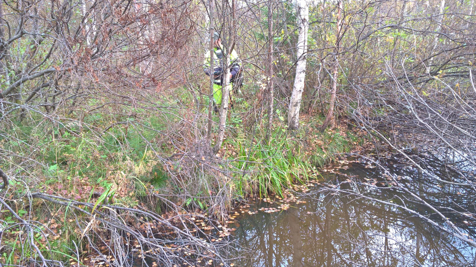 Henkilö suorittaa radanvarren mittaustöitä risukossa.