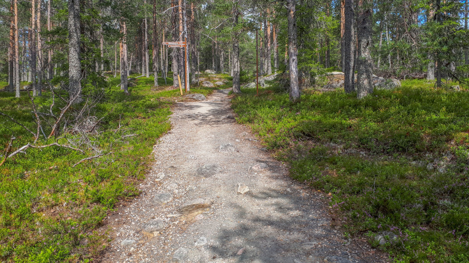 Aavasaksalla Ylitornion kunta sorasti kulkureitit ennen kuin polku lähti leviämään varvikkoon.