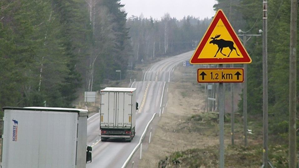 Hirvivaaramerkki ja rekkoja maantiellä.