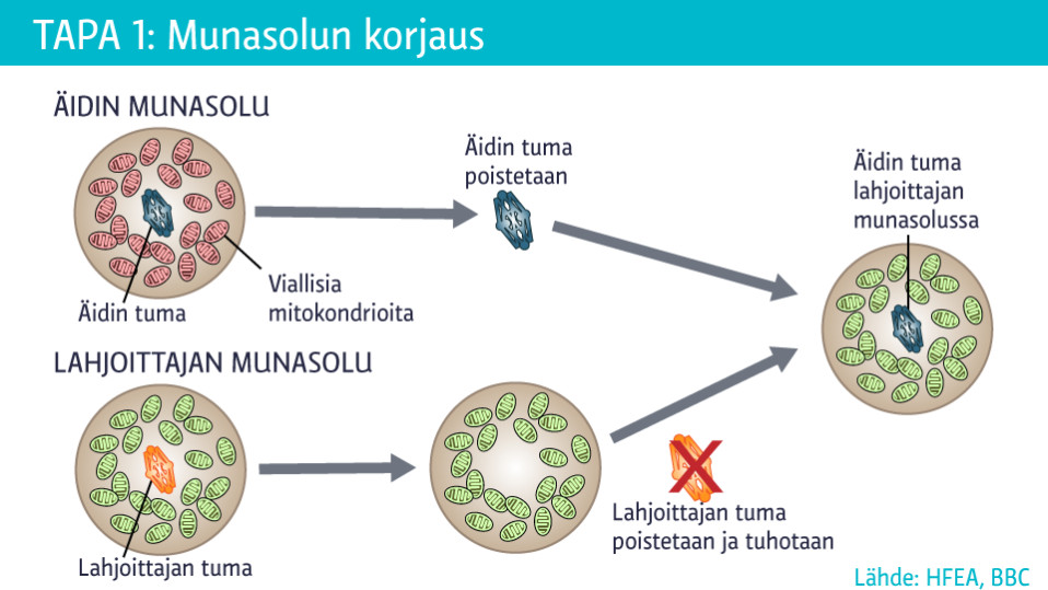 grafiikka
