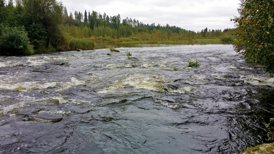 Hiitolanjoki