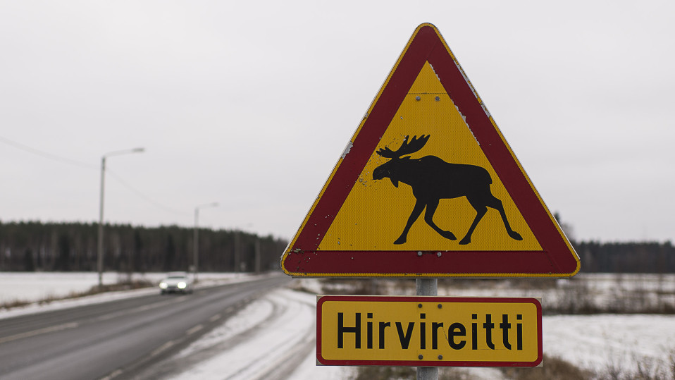 Liikennemerkki, jossa lukee hirvireitti.