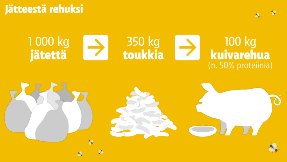 Grafiikka