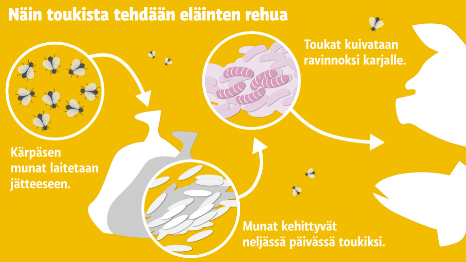 Grafiikka