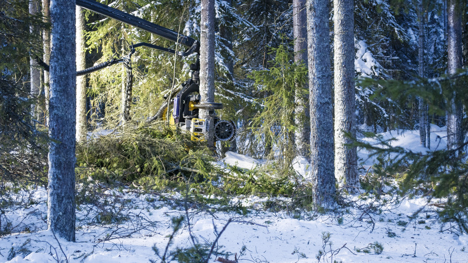 Metsätyökone