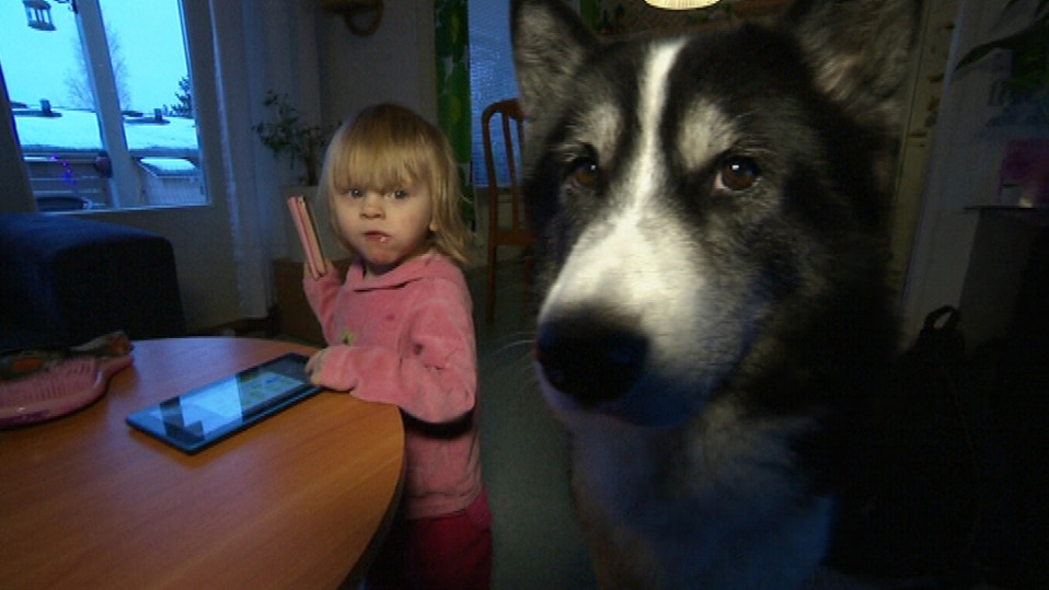 pikkutyttö koiran kanssa sisällä.