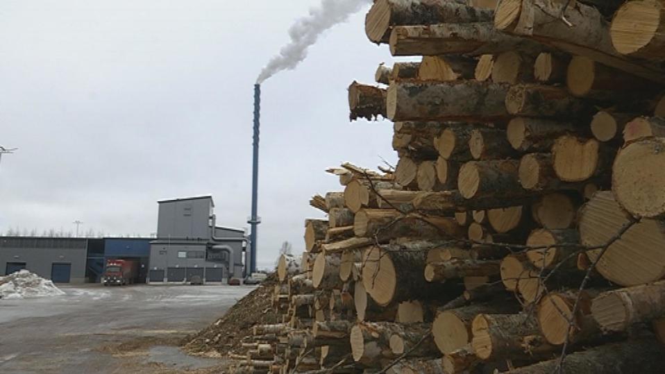 Puupino Kauhavan kaukolämpölaitoksen pihamaalla