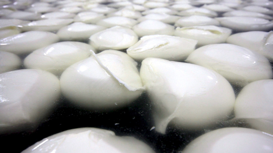 Italialaista mozzarella-juuston tuotantoa.