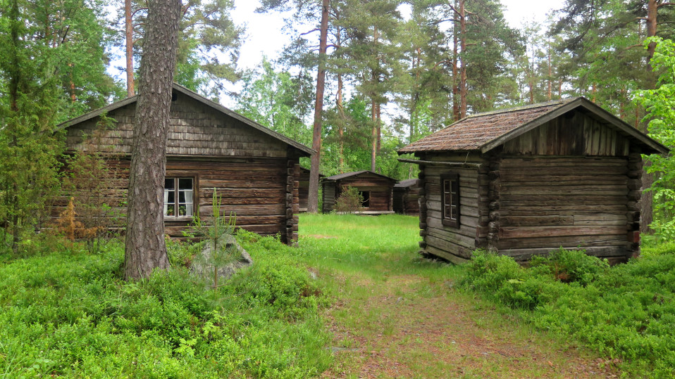 Mikkelinmäki Luopioinen