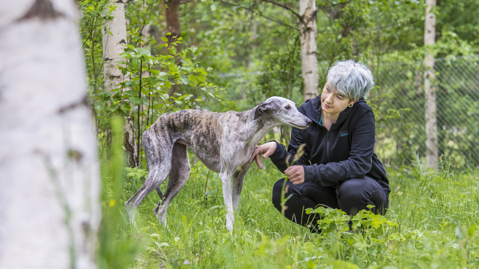 Lupita-galgo ja Katariina Aihos koirapuistossa Sotkamossa.