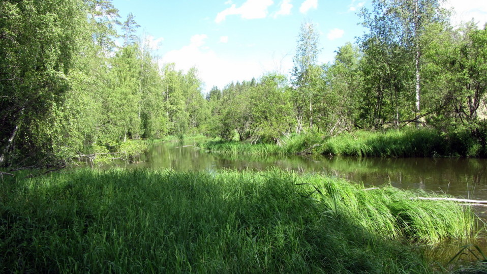 Hiitolanjoki