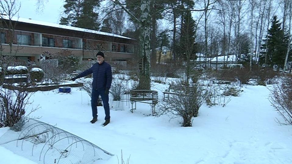 Mies seisoo pihallaan ja osoittaa lunta