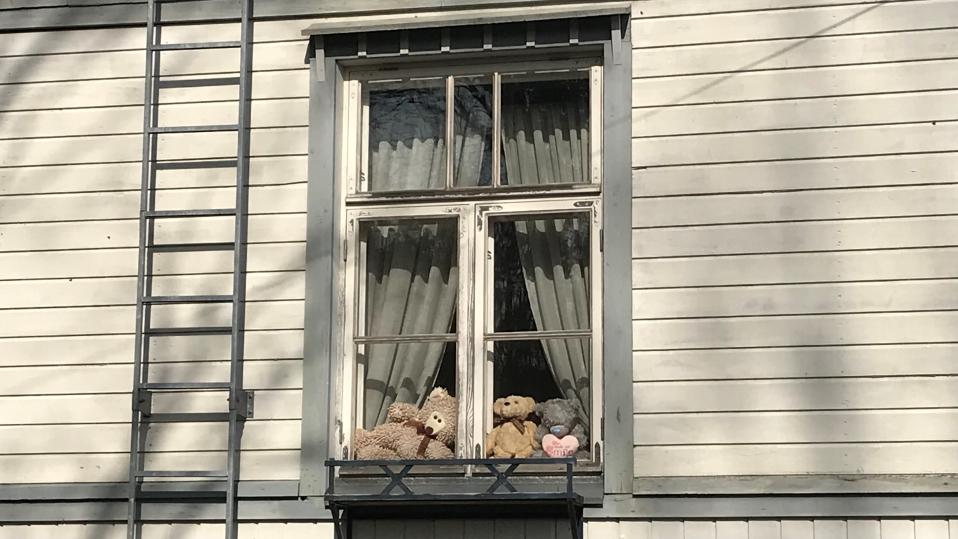 Nallet istuvat ikkunanlaudalla.