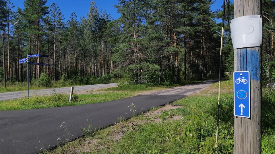 Saimaan saaristoreitin sininen kyltti Imatralla opastaa ajamaan suoraan