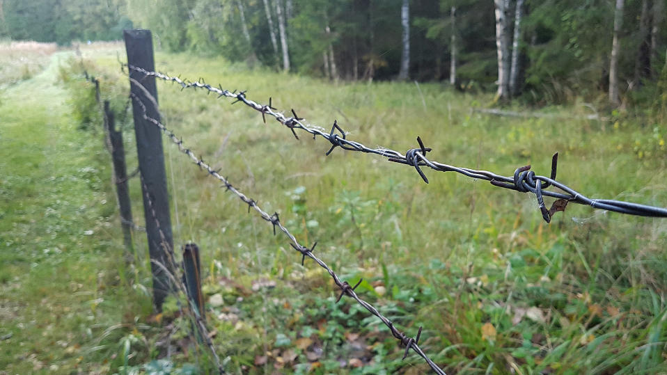 Piikkilanka-aita Suomen ja Venäjän rajalla Nuijamaalla