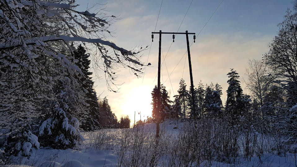 Sähkölinjoja lumisessa metsässä