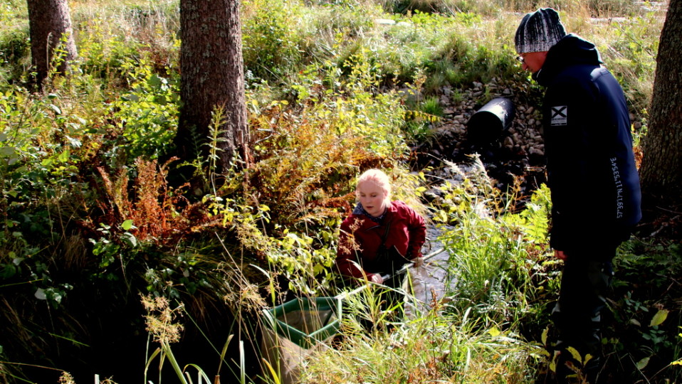 Näytteenottoa purosta