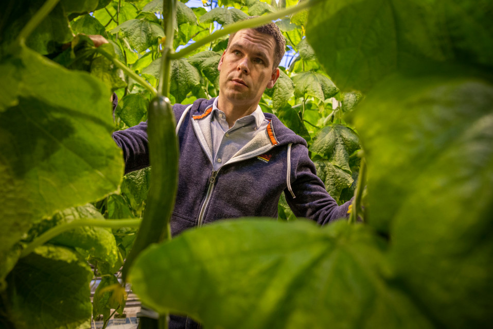 Yrittäjä Toni Tanner, Hortiherttua