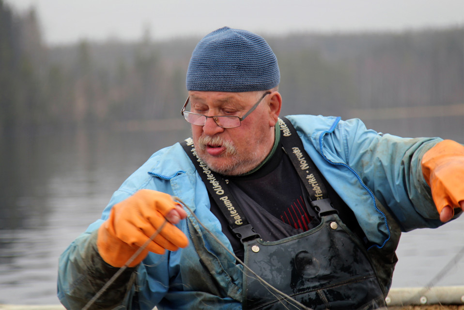 Kalastaja Pauli Koski nostaa verkkoja Näsijärvellä