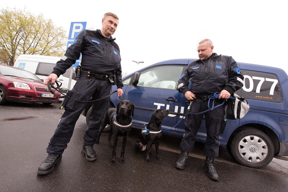 Raha- ja huumekoira Massi sekä ase- ja räjähdekoira Heila ohjaajineen kävivät Ylen aamu-tv:n vieraina torstaina 18. toukokuuta.