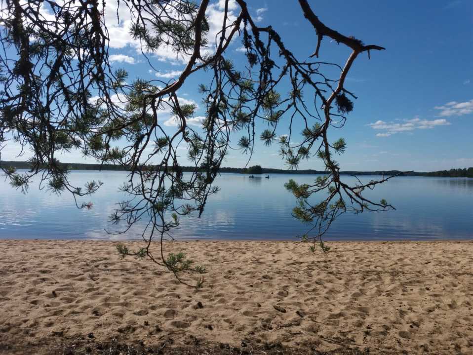 Hiekkaranta ja järvimaisema Tiilikkajärven kansallispuistossa Rautavaaralla.