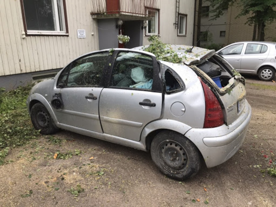 Auton päälle puusta moskaa