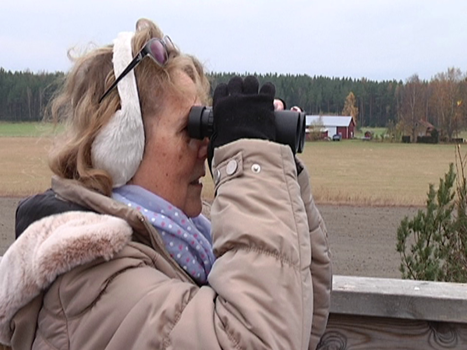 Marja Virta