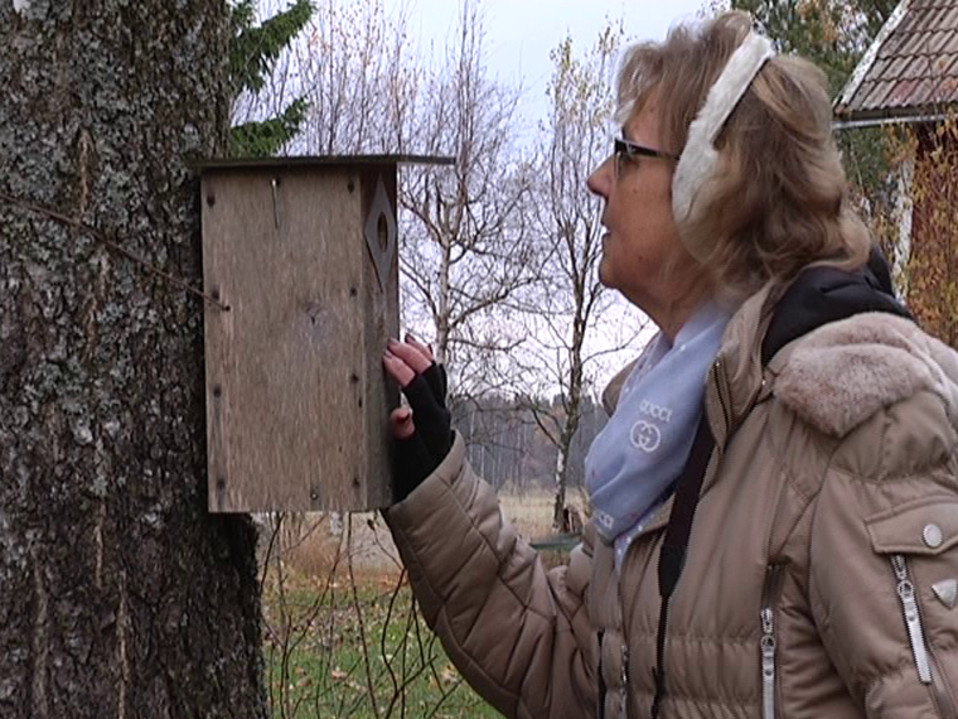 Marja Virta