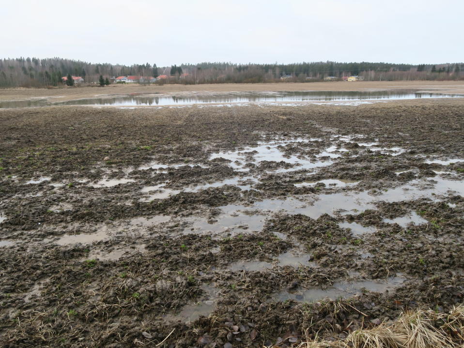 Tulvapeltoa Janakkalan Tervakoskella