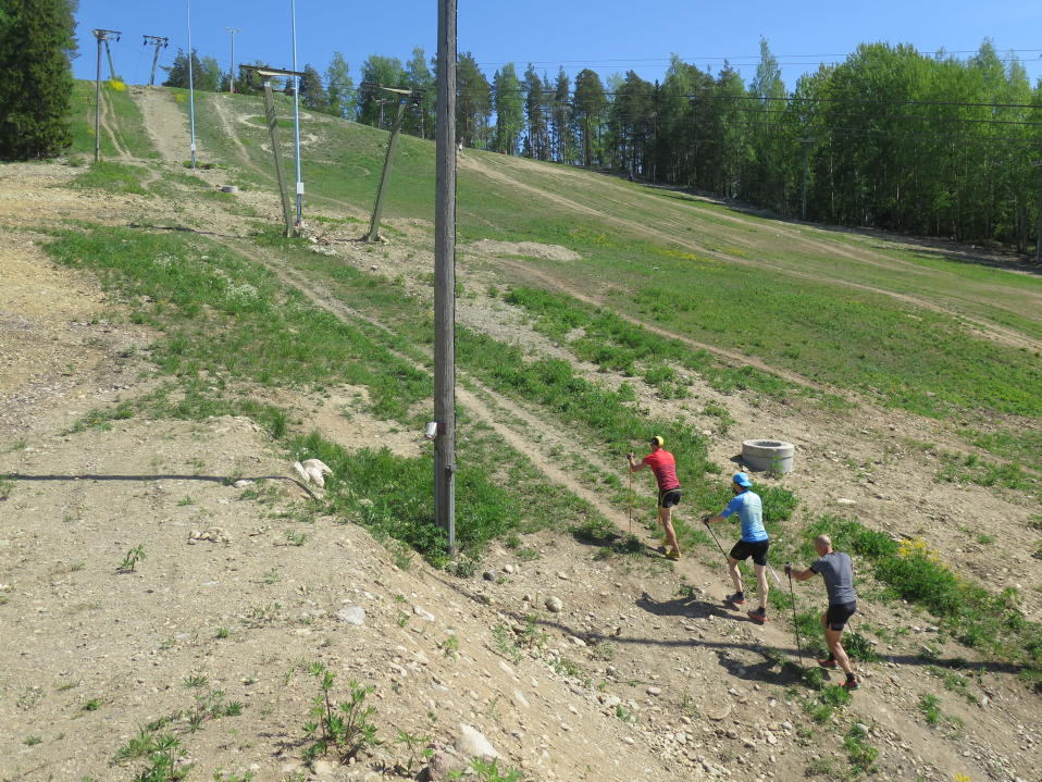 Kolme ultrajuoksijaa juoksemassa kesäistä laskettelurinnettä ylös