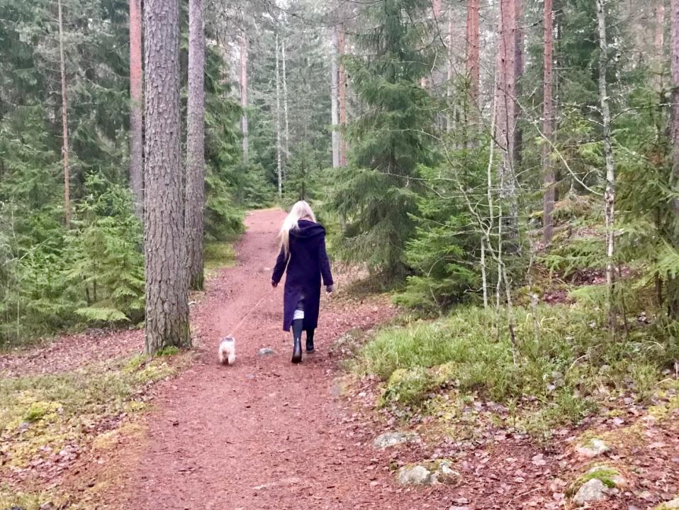 Nainen ja pieni koira kävelevät kuusimetsässä